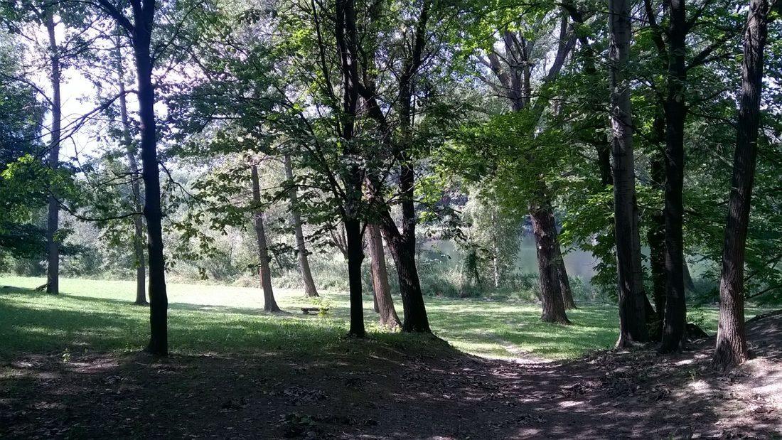 Valle d'Ayas · Riserva Naturale